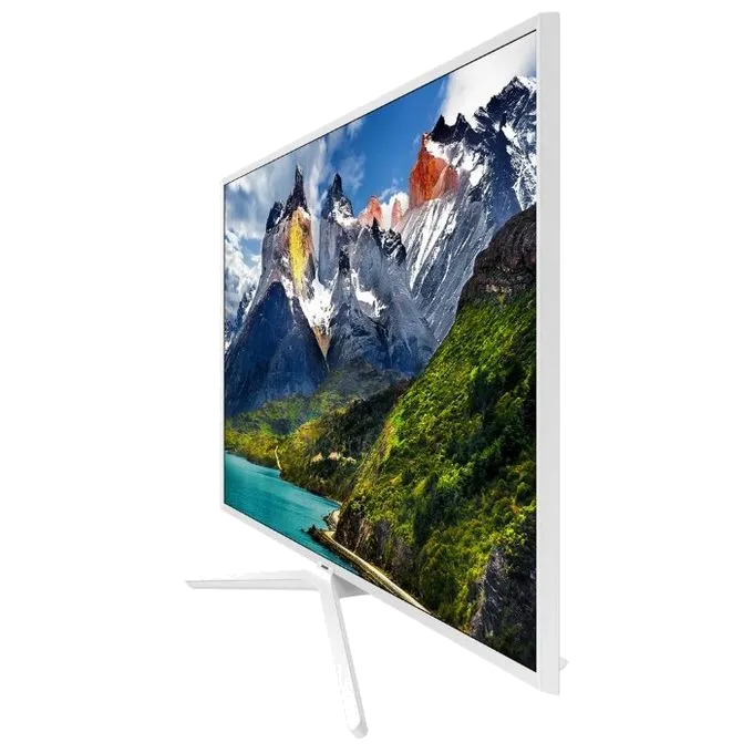 UE49N5510A